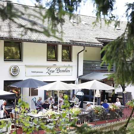 Hotel-Pension Zum Paradies Willingen  Exteriér fotografie
