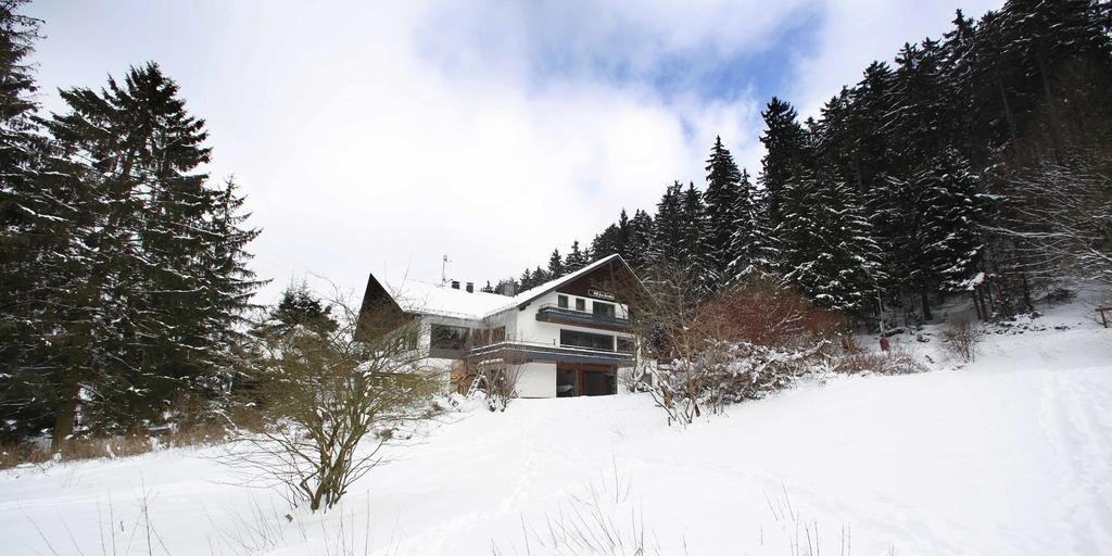 Hotel-Pension Zum Paradies Willingen  Exteriér fotografie