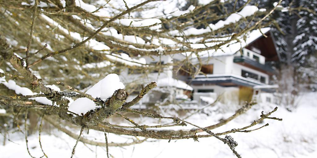 Hotel-Pension Zum Paradies Willingen  Exteriér fotografie