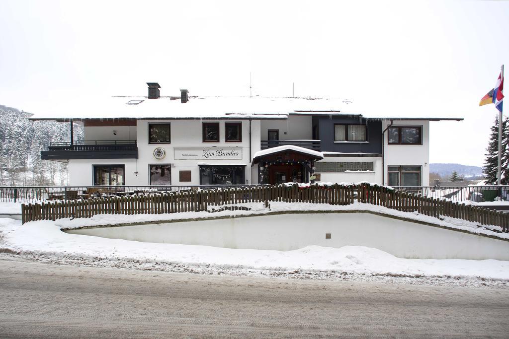 Hotel-Pension Zum Paradies Willingen  Exteriér fotografie