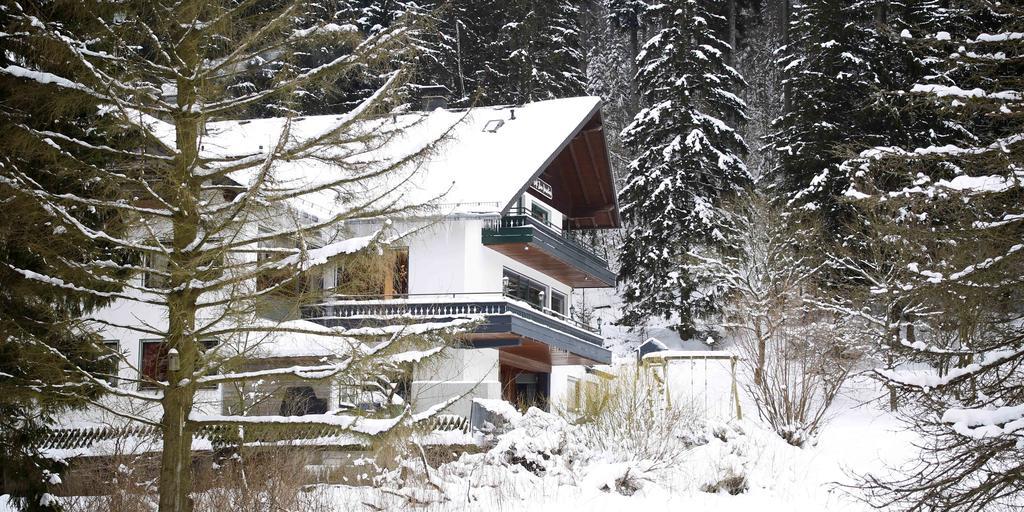 Hotel-Pension Zum Paradies Willingen  Exteriér fotografie