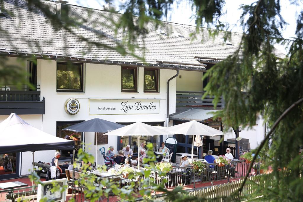 Hotel-Pension Zum Paradies Willingen  Exteriér fotografie