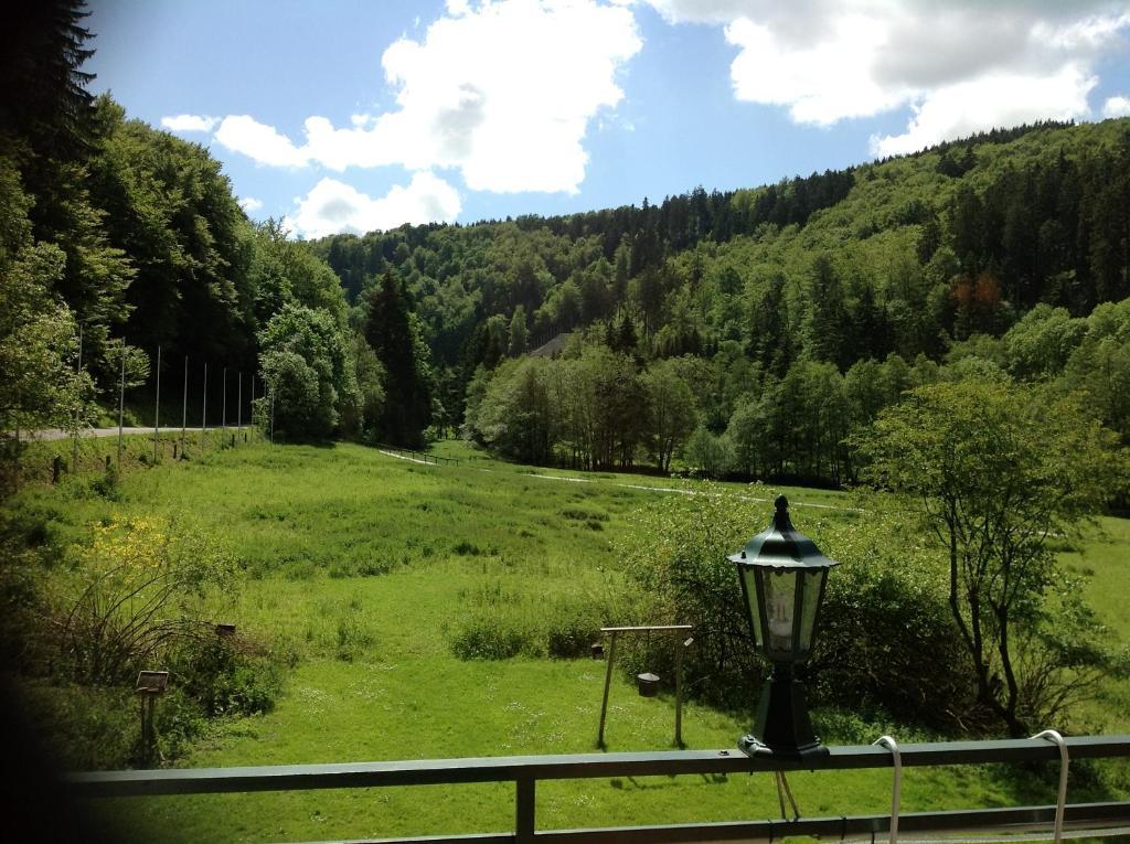 Hotel-Pension Zum Paradies Willingen  Exteriér fotografie