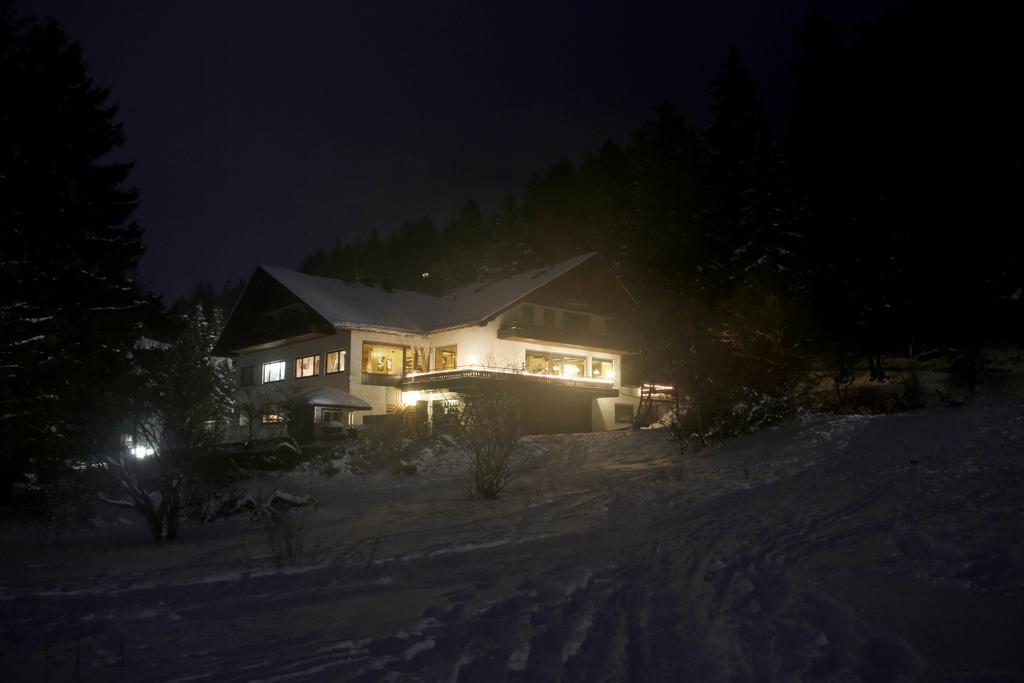 Hotel-Pension Zum Paradies Willingen  Exteriér fotografie